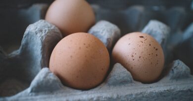 Selective Focus Photo of Three Eggs on Tray