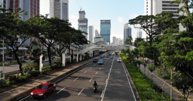 cars on road