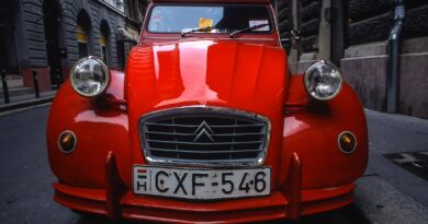 red Citroen car parked on road