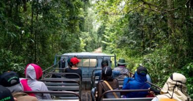 How to Find the Best Small Group Tours in London (and Why They’re Worth It)