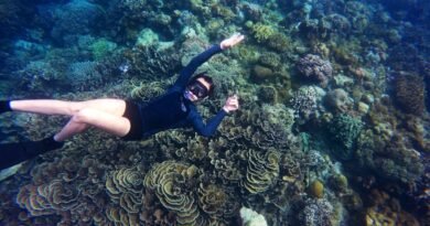 Snorkeling Tips for Beginners: Making the Most of Your Barbados Boat Tour