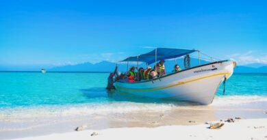 Eco-Friendly Boat Tours in Barbados: How to Spot Responsible Operators and Protect Coral Reefs