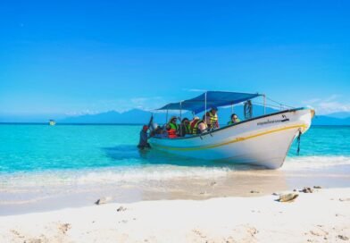 Eco-Friendly Boat Tours in Barbados: How to Spot Responsible Operators and Protect Coral Reefs