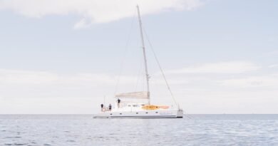 Best Catamaran Tours in Barbados for Snorkeling with Turtles