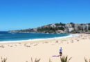 Sydney Travel Guide: Explore Beaches, Coastal Walks, and Public Transport for First-Time Visitors