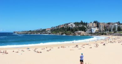 Sydney Travel Guide: Explore Beaches, Coastal Walks, and Public Transport for First-Time Visitors
