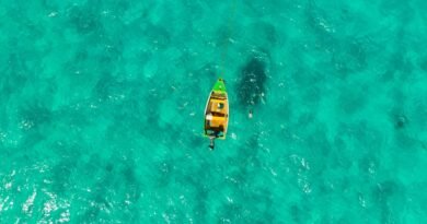 Best Time for Boat Tours in Barbados: Weather, Sea Conditions, and Crowd Levels