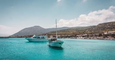 Best Time for Boat Tours in Barbados: Weather, Sea Conditions, and Crowds