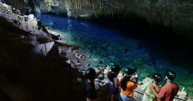 What Is a Night Tour? What to Expect, What to Bring, and How to Choose the Right One