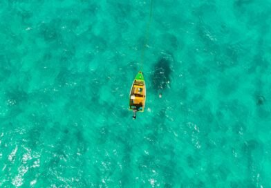 Best Time for Boat Tours in Barbados: Weather, Sea Conditions, and Crowds Explained