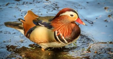 Best London Tours for Solo Travelers: Top Social and Safe Guided Experiences