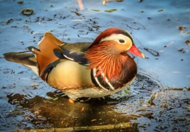 Best London Tours for Solo Travelers: Top Social and Safe Guided Experiences