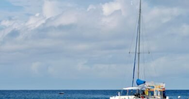 How to Choose Safe Boat Tours in Barbados: Licenses, Insurance, and Red Flags to Check Before You Book