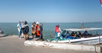 How to Choose the Right Boat Tour for Your Trip