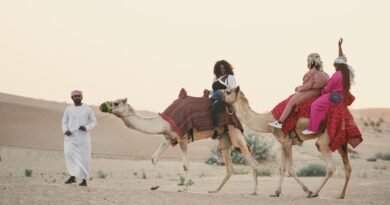 What to Expect on Guided Tours in Dubai: Types, Itineraries, Costs, and Tips for First-Time Visitors