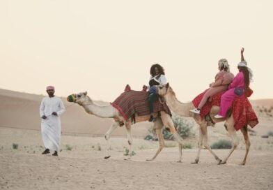 What to Expect on Guided Tours in Dubai: Types, Itineraries, Costs, and Tips for First-Time Visitors