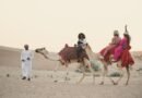 Dubai Guided Tours: What to Expect and How to Choose the Right One